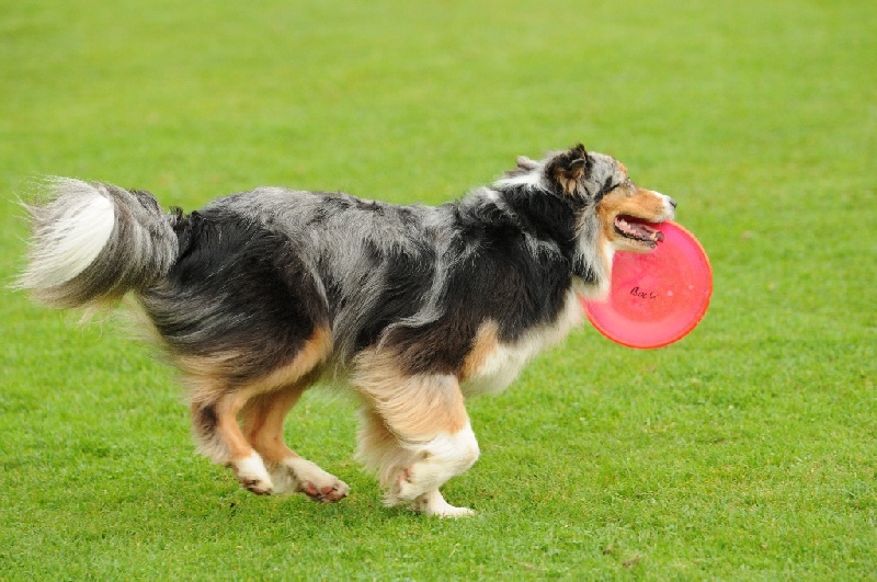 Image 470 of 855  -  237 kB