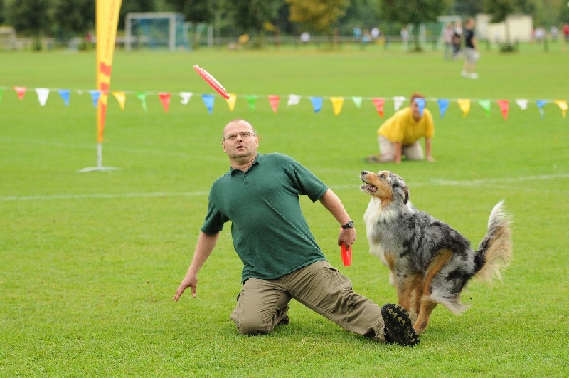 Image 471 of 855  -  228 kB