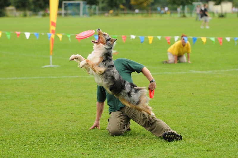 Image 472 of 855  -  231 kB