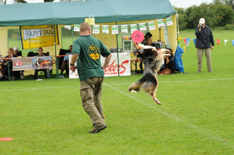 Image 474 of 855  -  267 kB