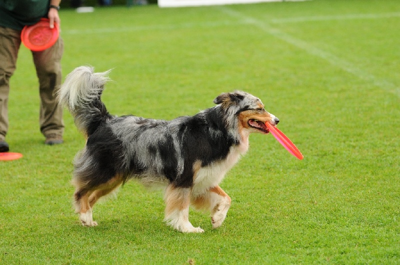 Image 475 of 855  -  239 kB