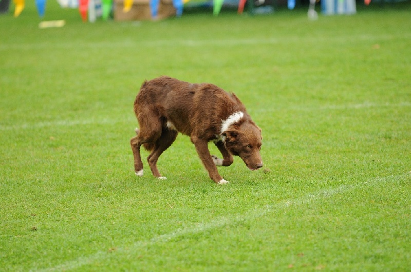 Image 476 of 855  -  223 kB