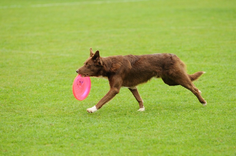 Image 478 of 855  -  205 kB