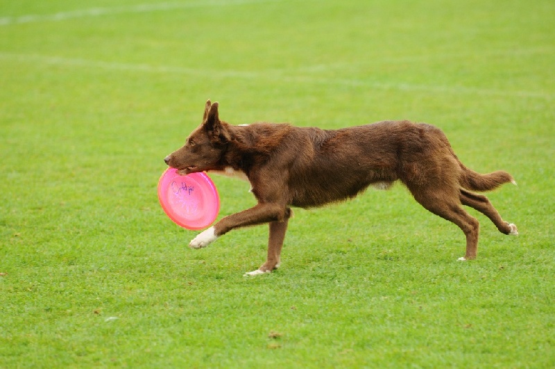 Image 479 of 855  -  210 kB