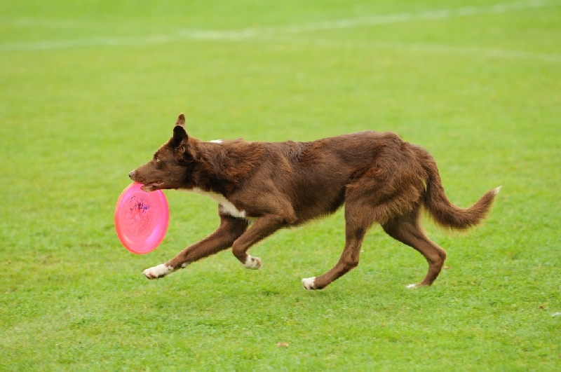 Image 480 of 855  -  202 kB