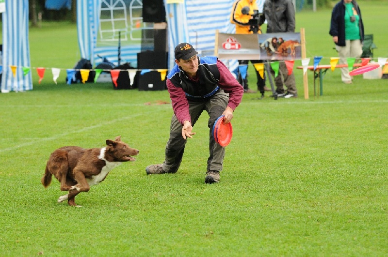 Image 481 of 855  -  259 kB