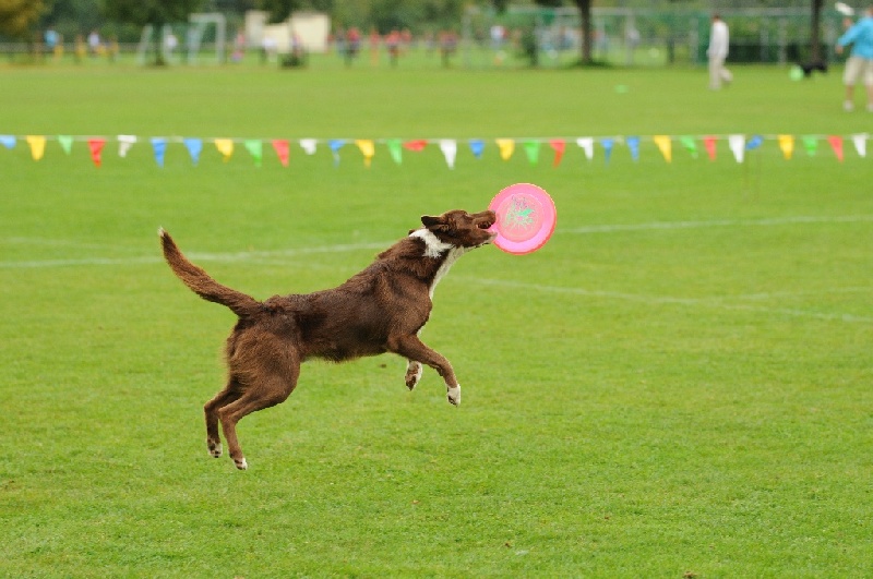 Image 482 of 855  -  214 kB