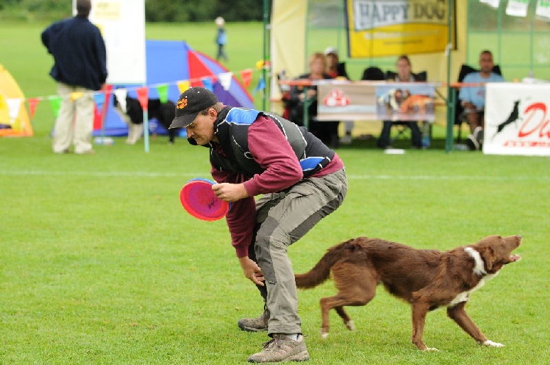 Image 483 of 855  -  234 kB