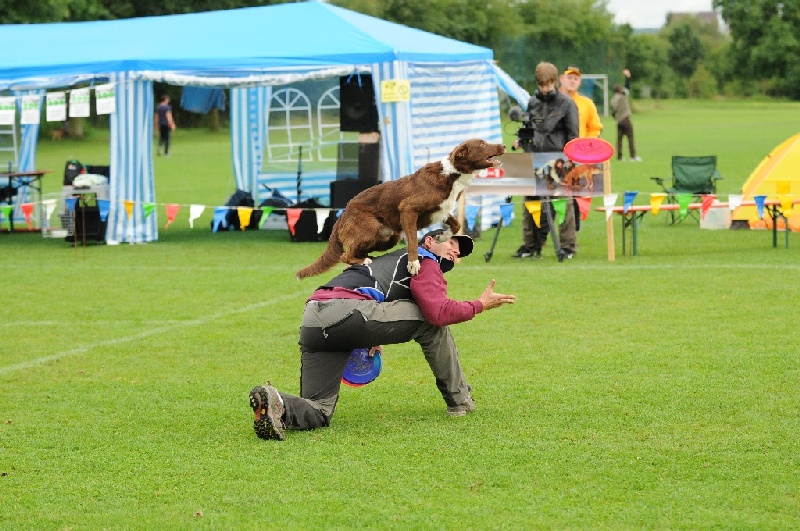 Image 484 of 855  -  268 kB