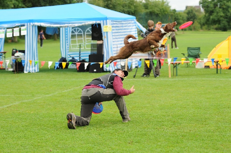 Image 485 of 855  -  267 kB