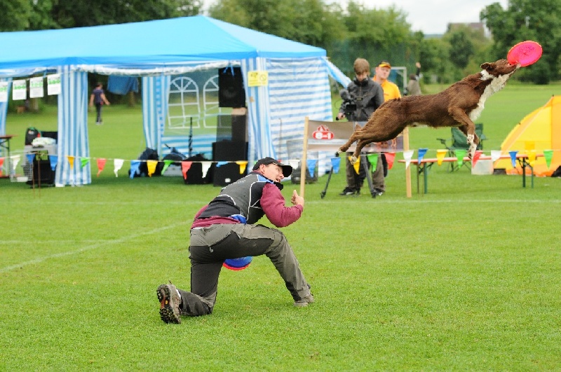 Image 486 of 855  -  266 kB