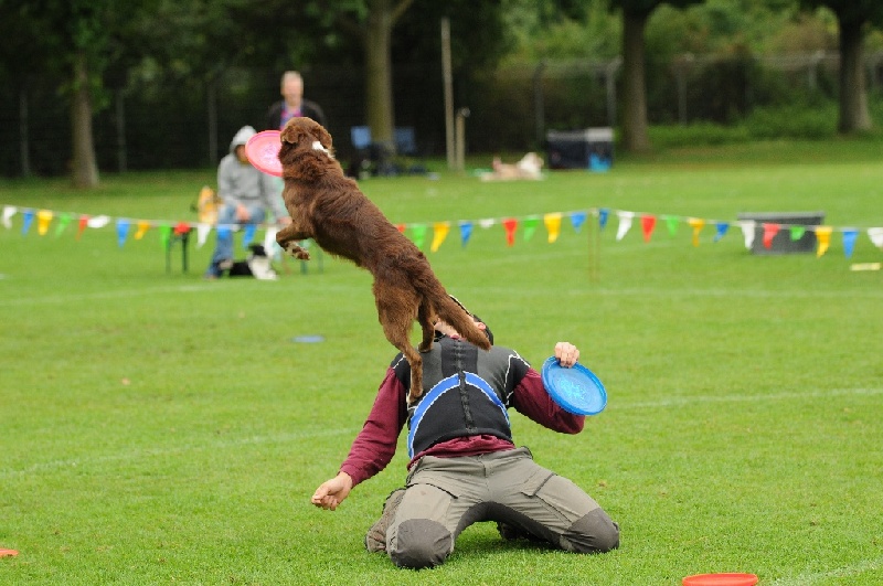 Image 488 of 855  -  225 kB