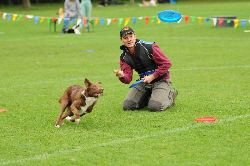 Image 489 of 855  -  245 kB