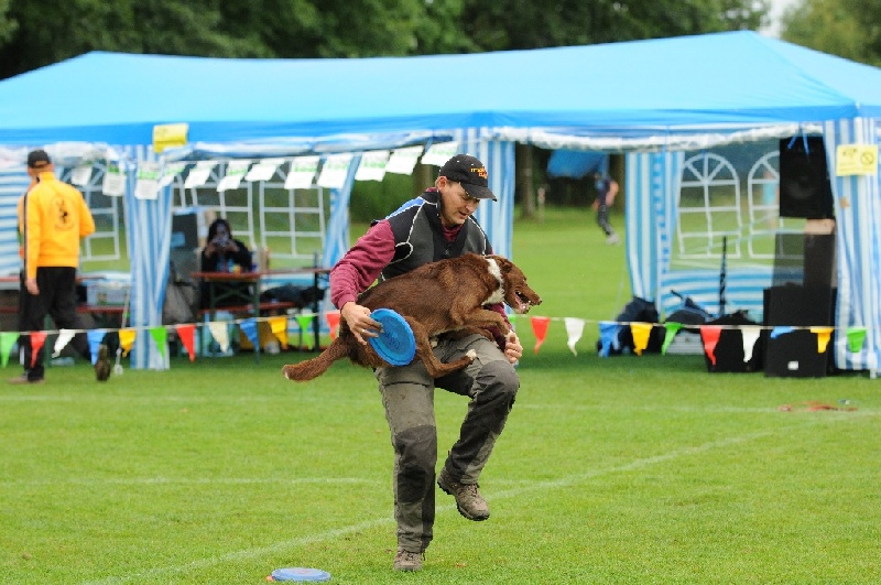 Image 490 of 855  -  242 kB