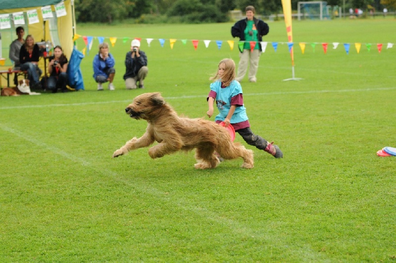 Image 492 of 855  -  254 kB