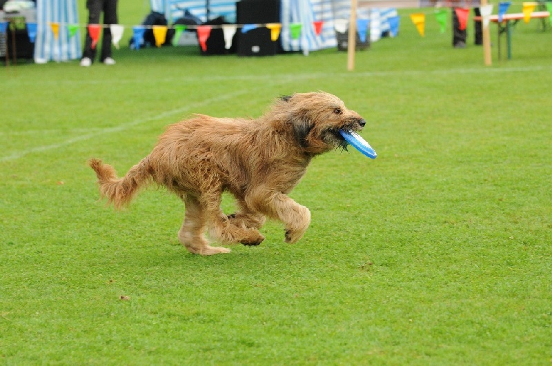 Image 493 of 855  -  236 kB