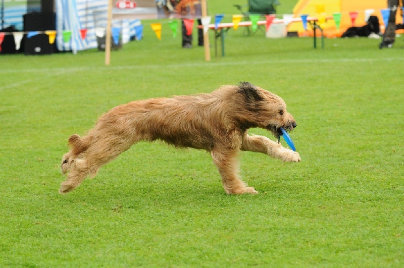 Image 494 of 855  -  237 kB