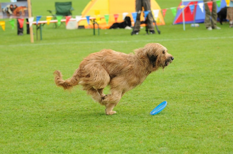 Image 495 of 855  -  234 kB