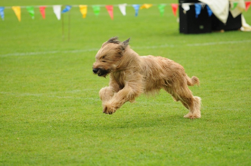 Image 496 of 855  -  215 kB