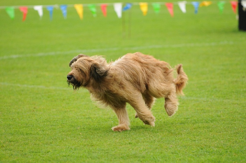 Image 497 of 855  -  211 kB