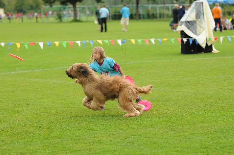 Image 498 of 855  -  238 kB