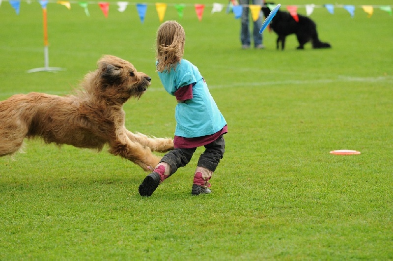 Image 499 of 855  -  241 kB