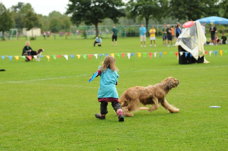 Image 501 of 855  -  241 kB