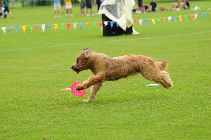 Image 502 of 855  -  230 kB