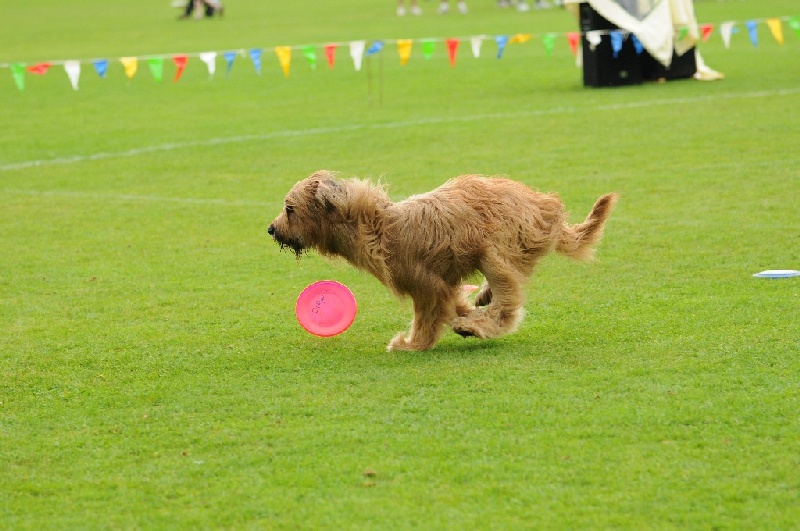 Image 503 of 855  -  223 kB