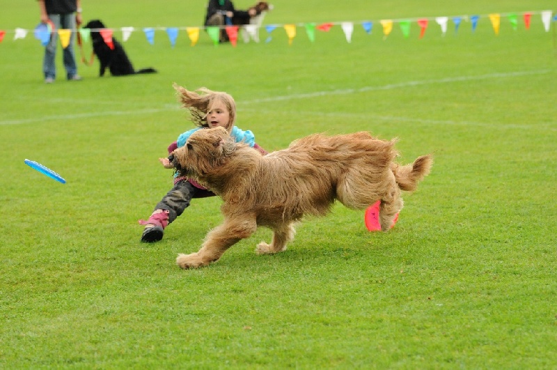 Image 504 of 855  -  233 kB