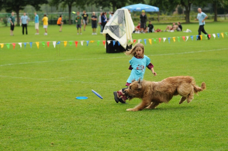 Image 506 of 855  -  251 kB