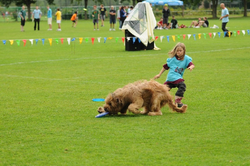 Image 507 of 855  -  255 kB