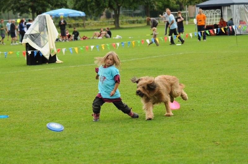 Image 508 of 855  -  255 kB