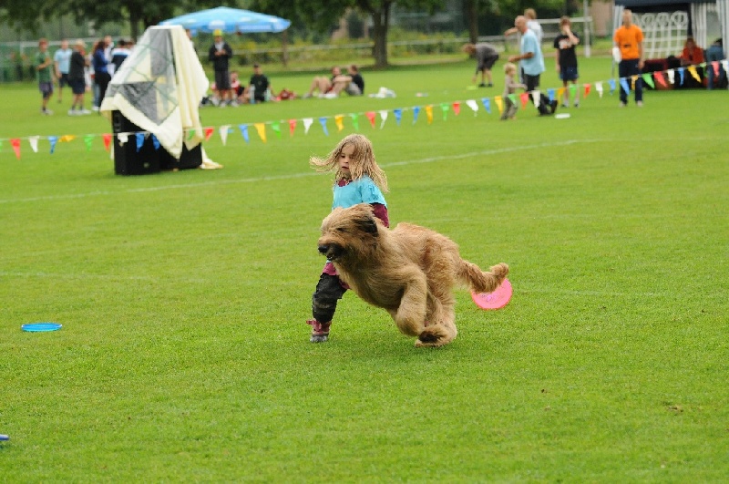 Image 509 of 855  -  252 kB