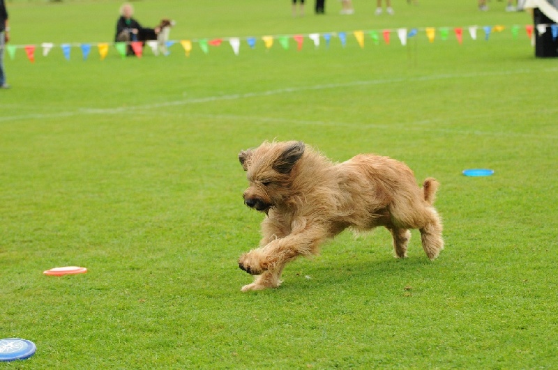 Image 510 of 855  -  227 kB