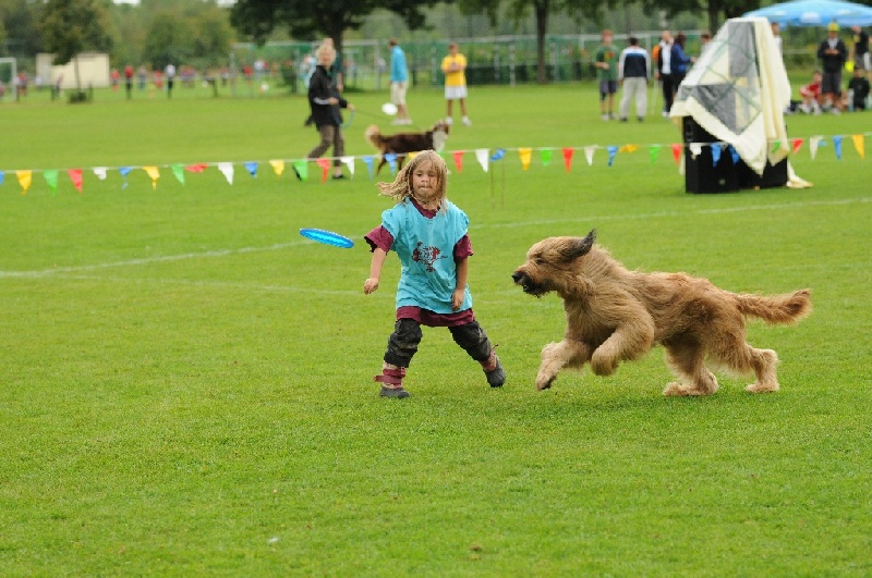 Image 511 of 855  -  254 kB