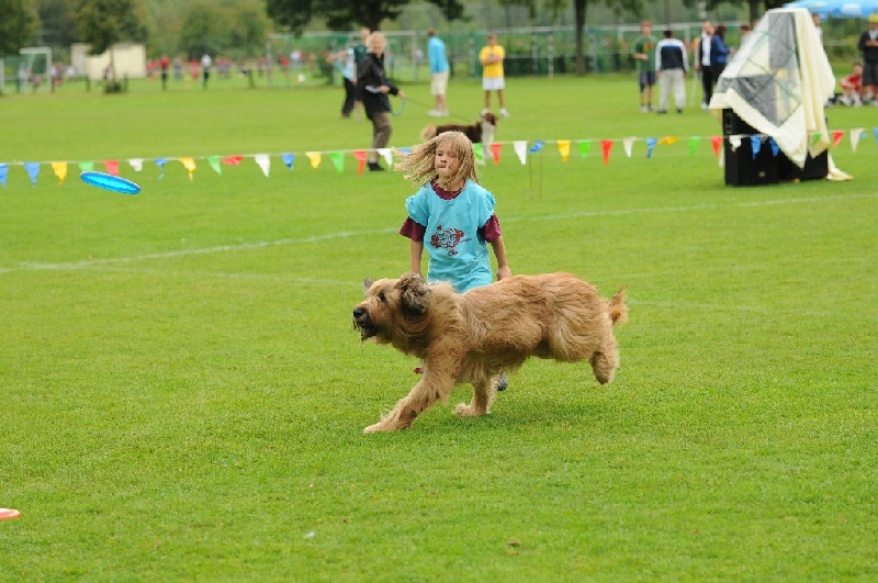 Image 512 of 855  -  250 kB