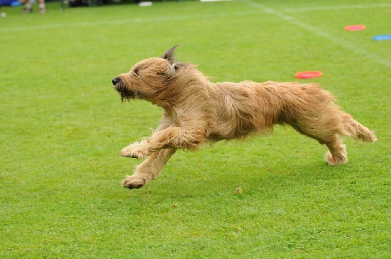 Image 513 of 855  -  226 kB