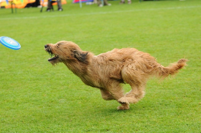 Image 514 of 855  -  219 kB