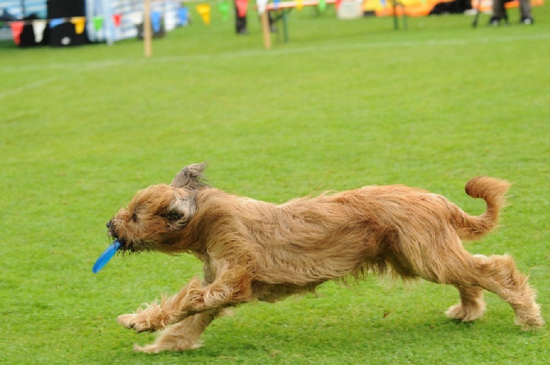 Image 515 of 855  -  213 kB