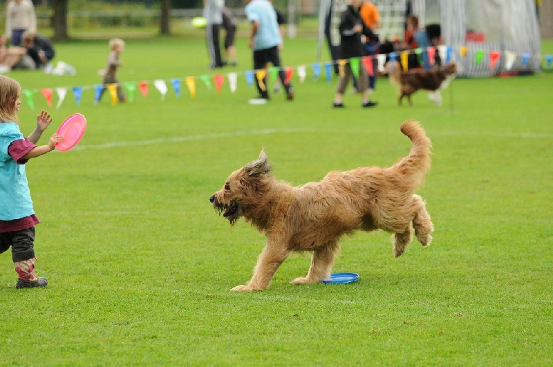 Image 516 of 855  -  234 kB