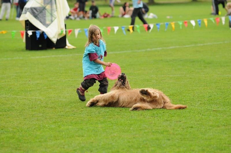 Image 517 of 855  -  234 kB