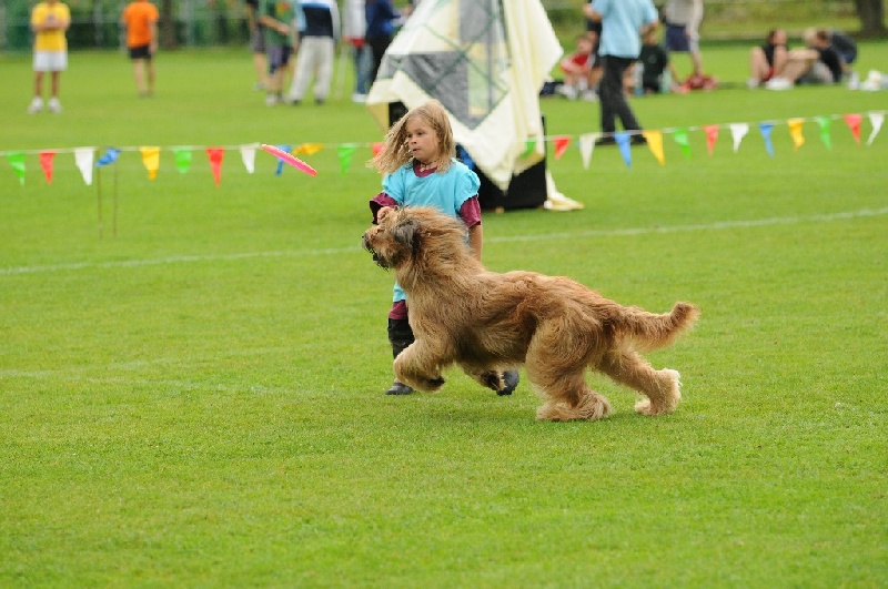 Image 518 of 855  -  234 kB