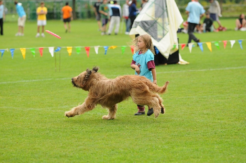 Image 519 of 855  -  235 kB