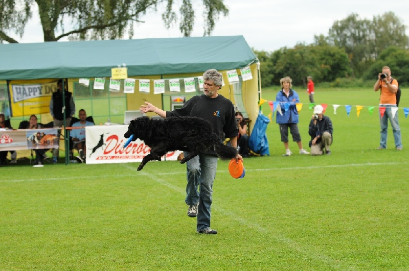 Image 522 of 855  -  250 kB