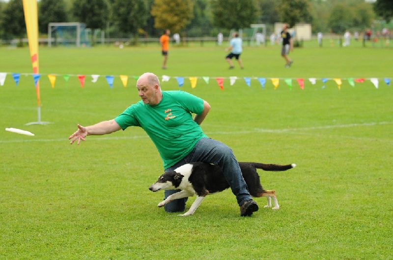 Image 527 of 855  -  232 kB