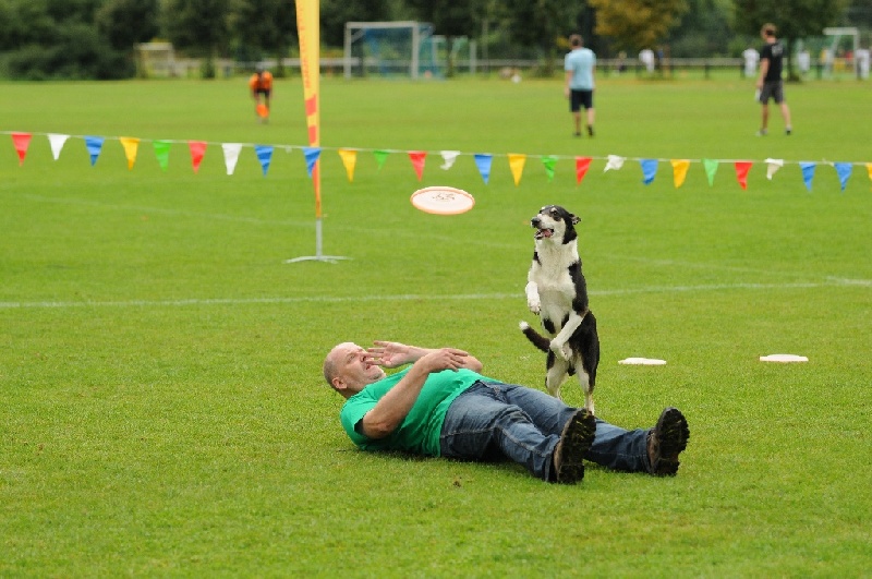 Image 528 of 855  -  231 kB