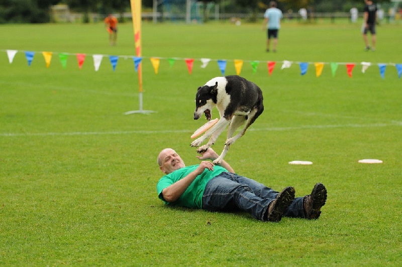 Image 529 of 855  -  230 kB