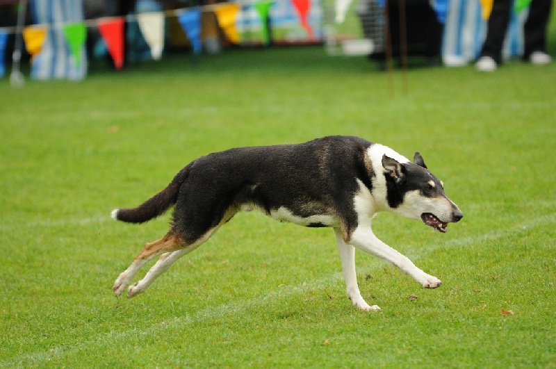 Image 530 of 855  -  220 kB