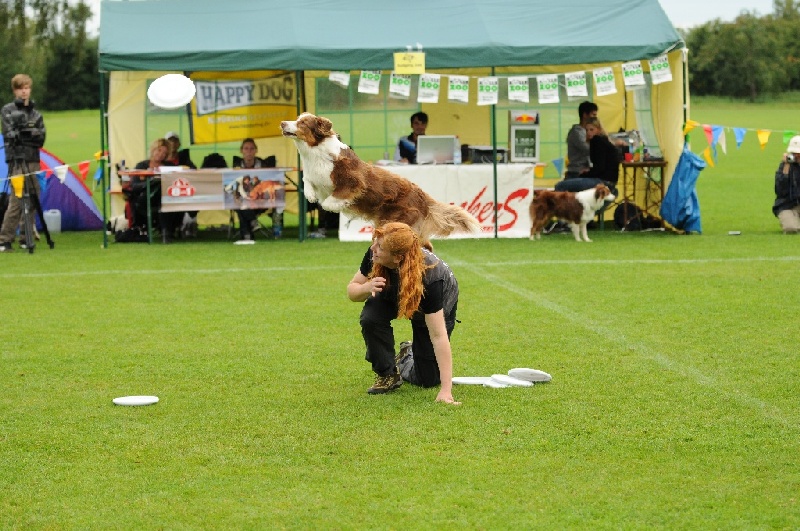 Image 531 of 855  -  264 kB